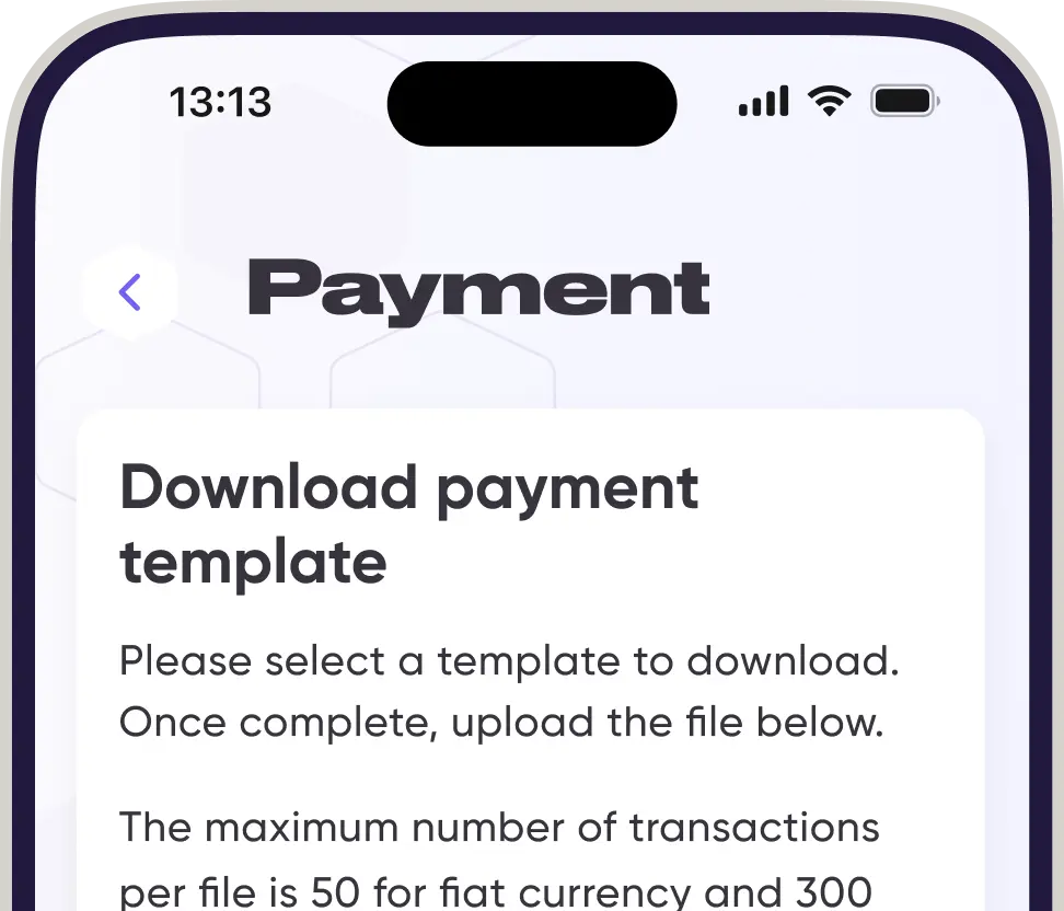 Make multiple payments at once with Mass Payment - picture 13