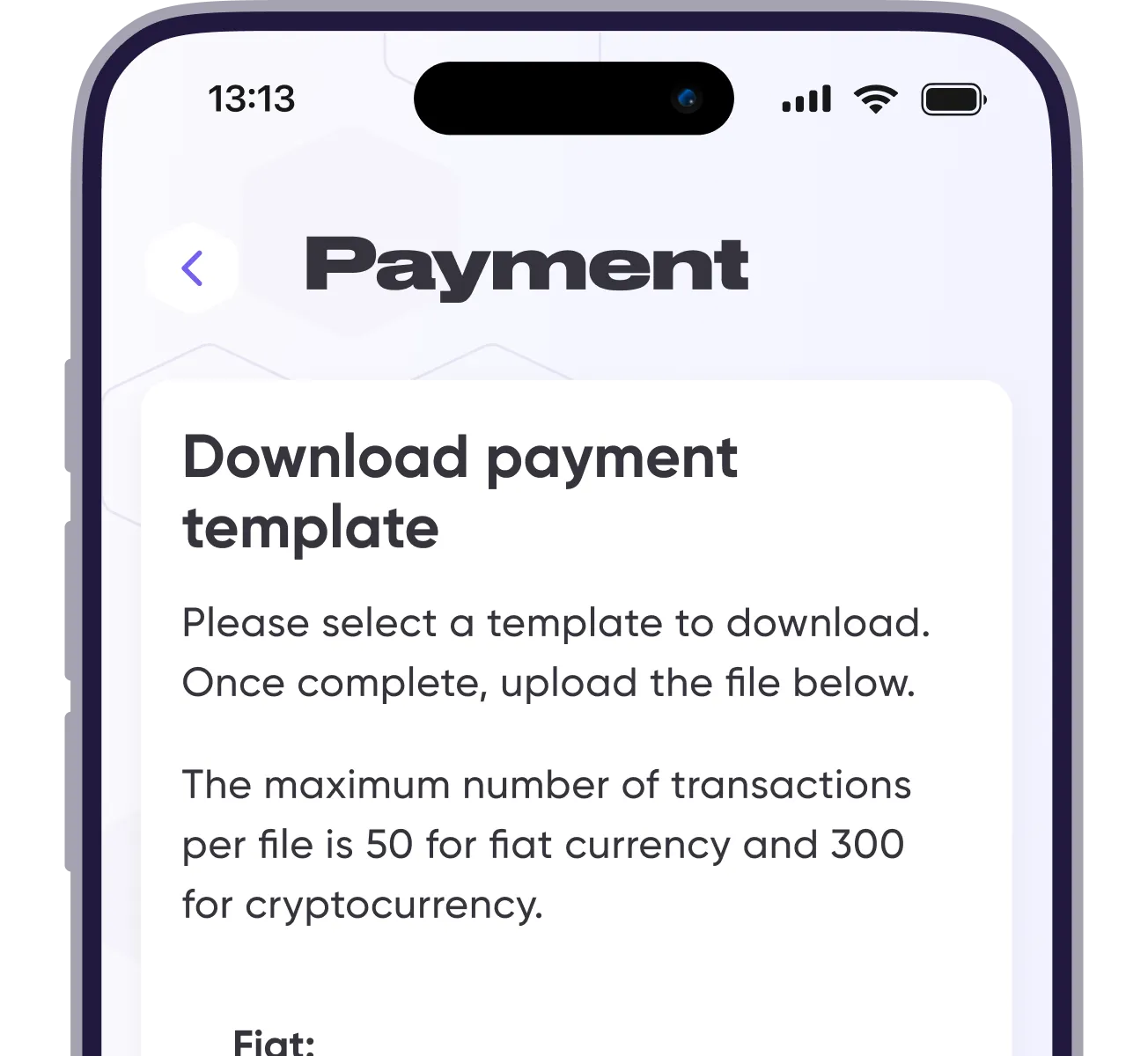 Make multiple payments at once with Mass Payment - picture 13