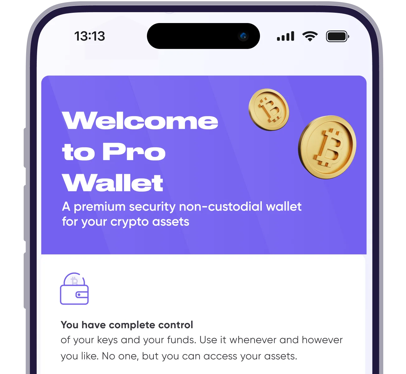 Open your ProWallet in 1 minute